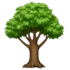 🌲