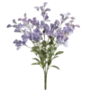 🌷
