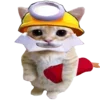 🐈