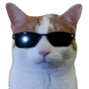 😎