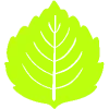 💚