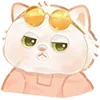 😎