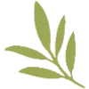 🌿