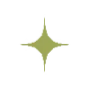 ⭐