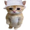 🐈