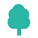 🌳