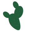 🌵