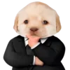 😎