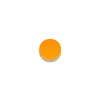 🟠