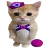 🐈
