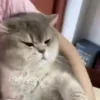 😒