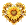 💛