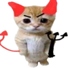 🐈