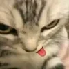 👅