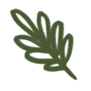 🌿