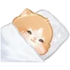 😴