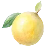 🍋