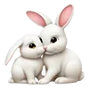 🐇