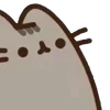 ⭐
