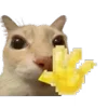 👋