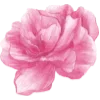 🌸