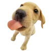 😋