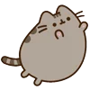 😺