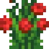 🌷