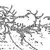 ⭐️