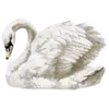 🦢