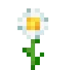 🌷