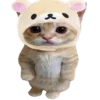 🐈
