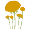 🌼