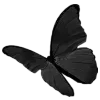 🦋