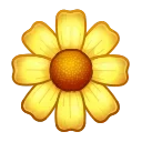 🌼