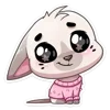 🐰