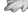 ⭐
