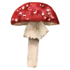 🍄