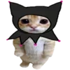 🐈