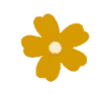 🌼
