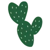 🌵
