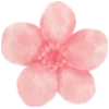 🌸