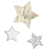 🌟