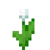 🌷