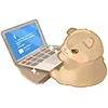 💻