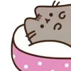 ⭐