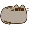 😎