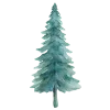 🌲