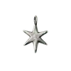 🌟