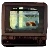 📺